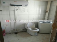 其它图