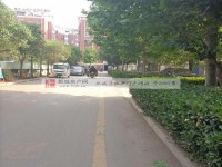 其它图