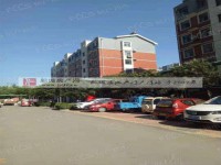 其它图