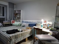 其它图