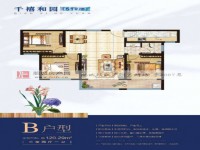 其它图