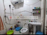 其它图