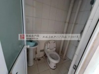 其它图