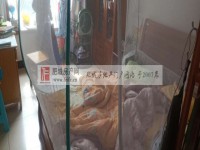 其它图