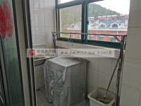 其它图
