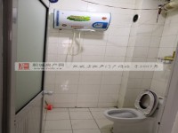 其它图