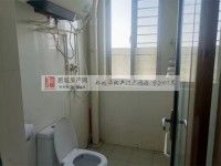 其它图