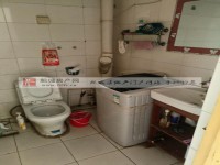 其它图