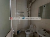 其它图