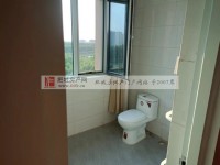 其它图