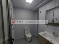 其它图