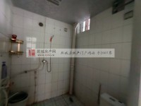 其它图