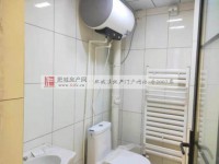 其它图