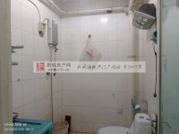 其它图