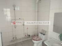 其它图