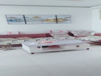 其它图