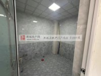 其它图