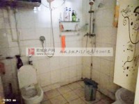 其它图