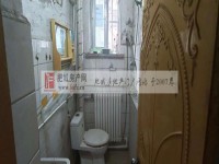 其它图